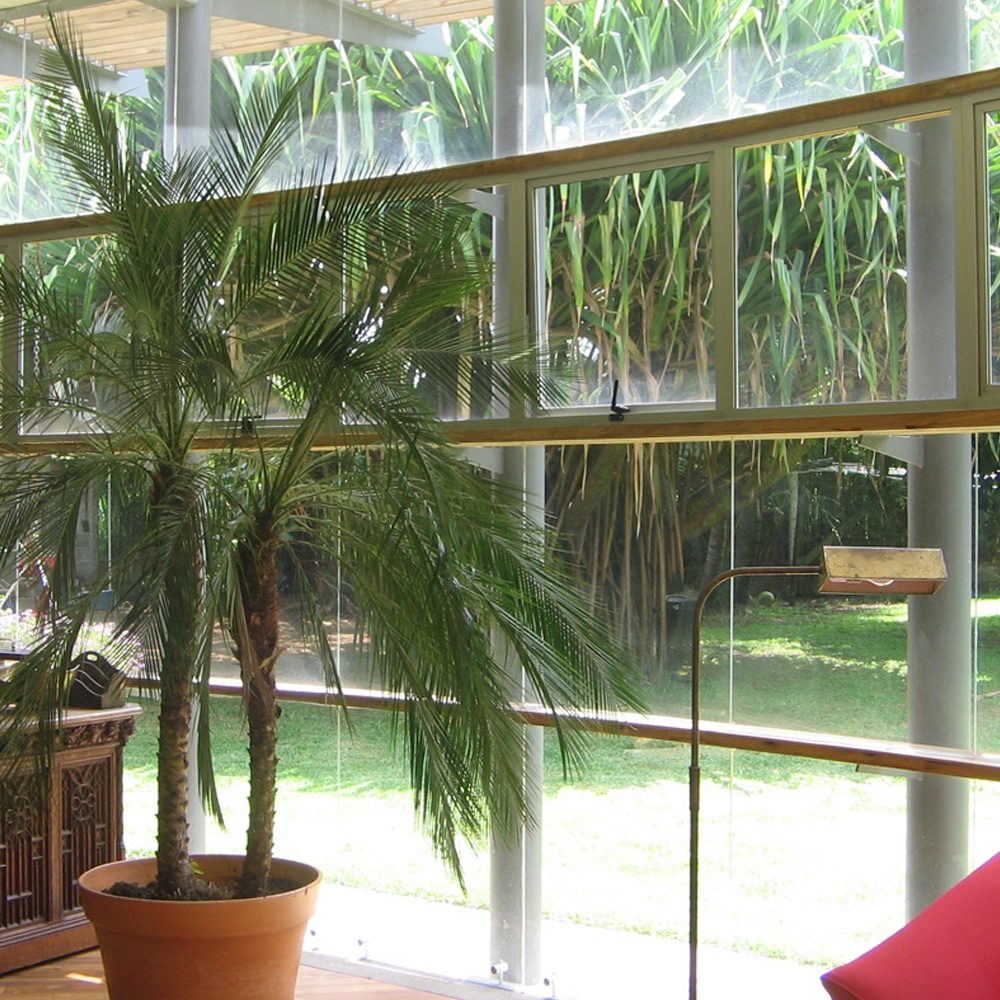Ventila Tradicional - Image 4